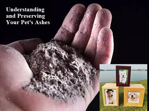 Understanding and Preserving Your Pet Ashes