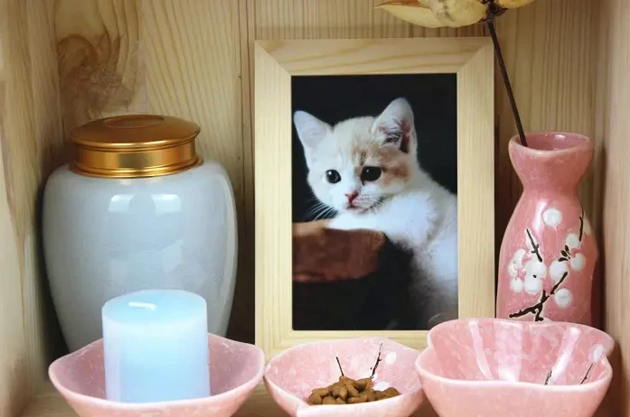 Wooden Urn For Cat Ashes: Preserving Love and Memories