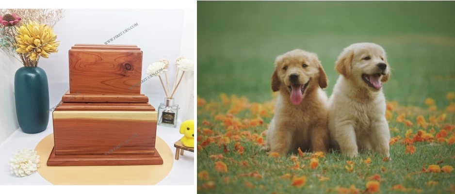 A Companionship Of a Cedar Box For Pet Ashes