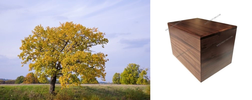 Why Do People Like To Choose Walnut Cremation Urns?
