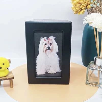 Respect for Life Remembering Pets with the Power of Pet Urns Ashes