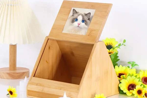 pet urn ashes