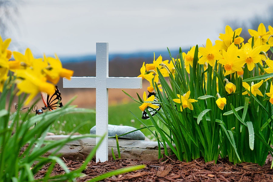 Return Your beloved Pet to Nature with Biodegradable Urns