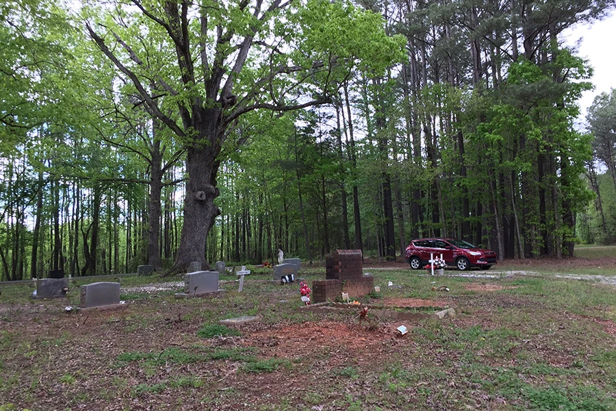 Return Your beloved Pet to Nature with Biodegradable Urns