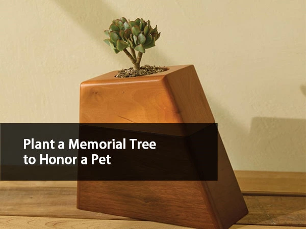 Plant a Memorial Tree to Honor a Pet