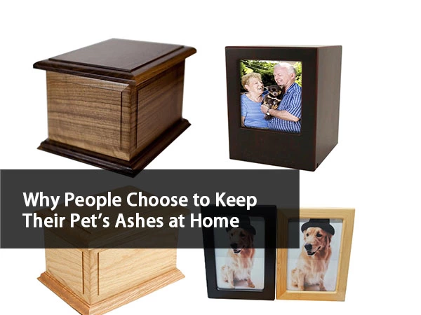 Why People Choose to Keep Their Pet's Ashes at Home