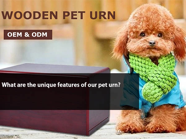 What are the unique features of our pet urn?