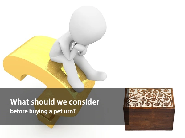 What Should We Consider Before Buying a Pet Urn？
