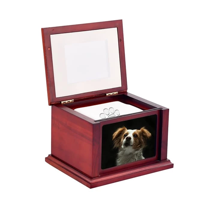 Pet Dog for Ashes Memorial Paws Print Clay