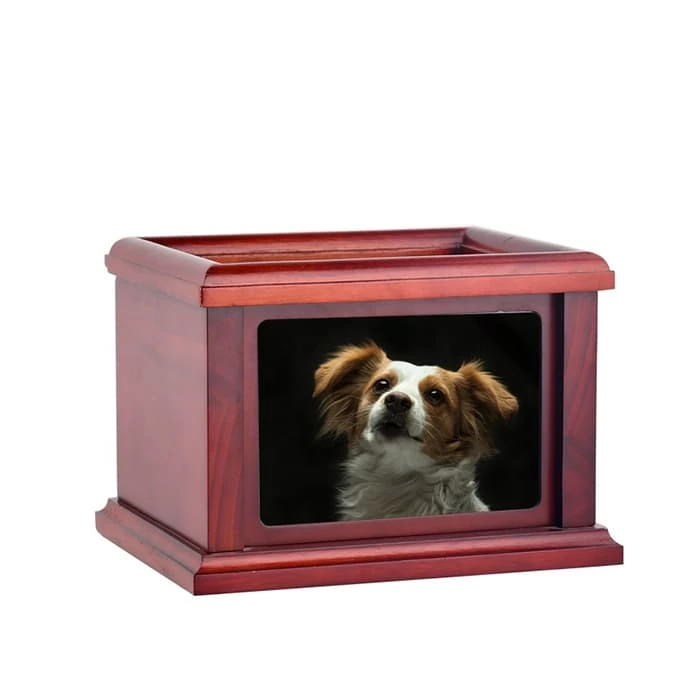 Pet Dog for Ashes Memorial Paws Print Clay