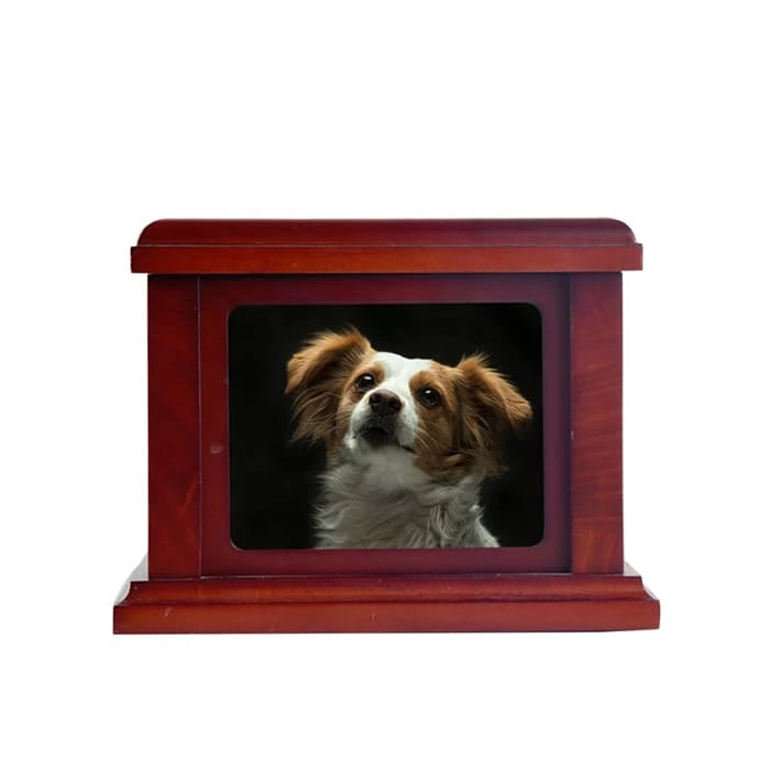 Pet Dog for Ashes Memorial Paws Print Clay