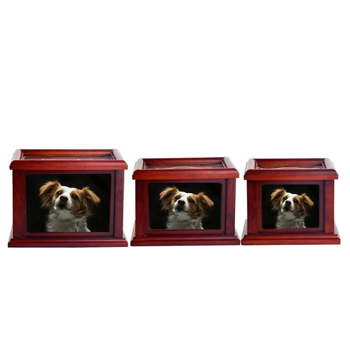 Pet Dog for Ashes Memorial Paws Print Clay