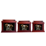 Pet Dog for Ashes Memorial Paws Print Clay