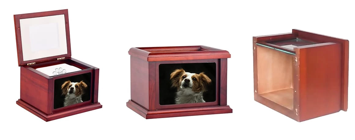 Pet Dog for Ashes Memorial Paws Print Clay