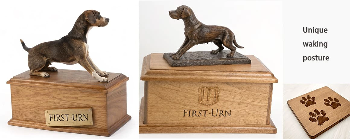 Design Inspiration is Provided to You by First-urn