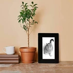 Small Pet Cremation Urn, Solid Wood Cat Dog Memorial Coffin Rabbit