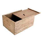 Mango Wooden Cremation Urns for Dogs Design