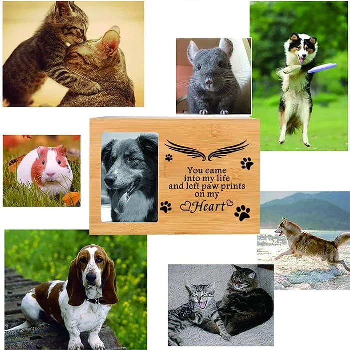 Nature Bamboo Pet Caskets Urns, Keepske Cremation Pet Ashes Casket