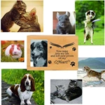 Nature Bamboo Pet Caskets Urns, Keepske Cremation Pet Ashes Casket