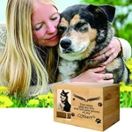 Nature Bamboo Pet Caskets Urns, Keepske Cremation Pet Ashes Casket