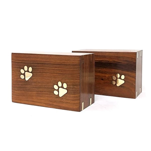 Paw Pods Pet Casket and Design Differnt Vivid Scenes