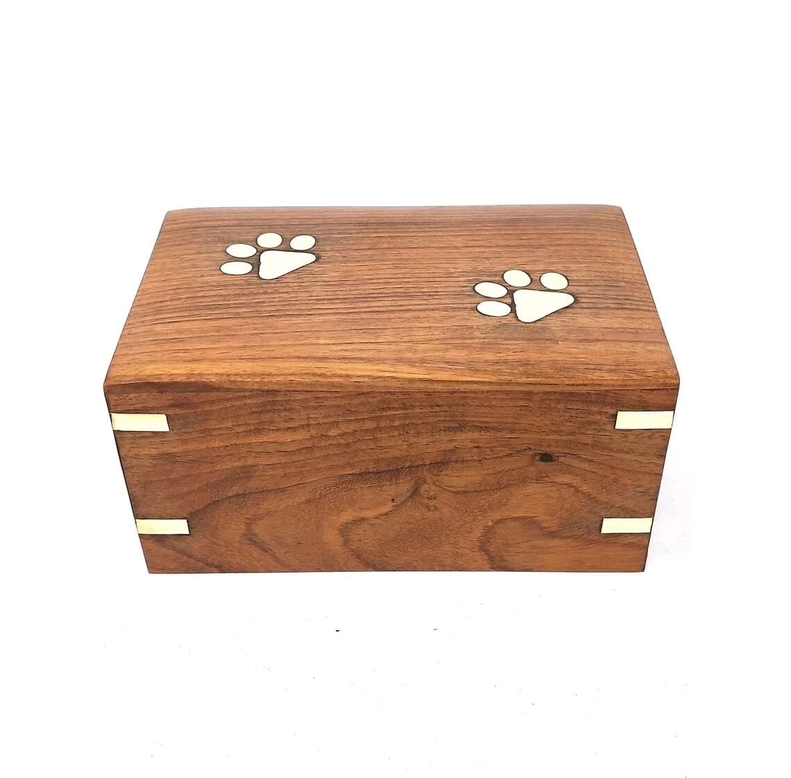 Paw Pods Pet Casket and Design Differnt Vivid Scenes