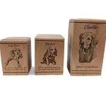 Solide Cremation Wooden Urn for Dog Ashes