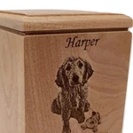 Solide Cremation Wooden Urn for Dog Ashes