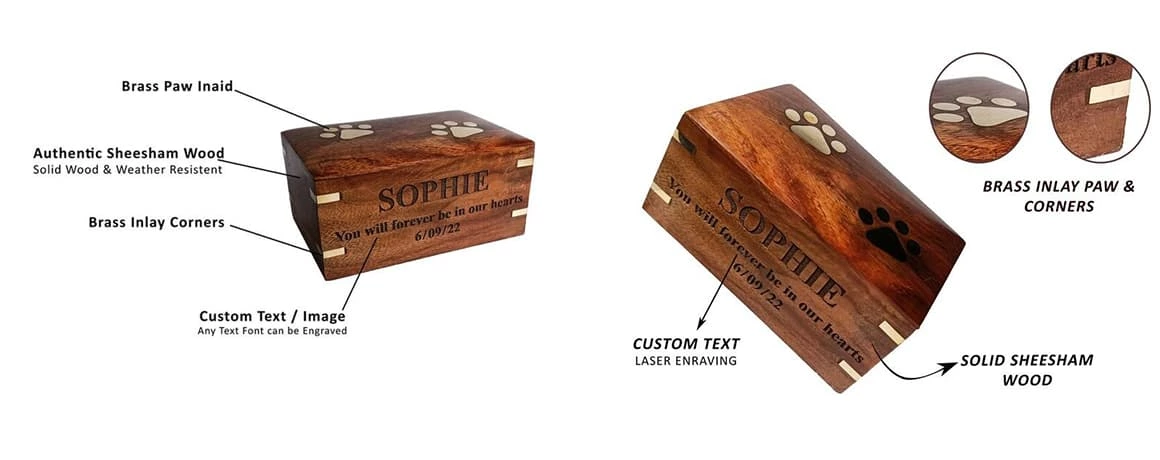 Paw Pods Pet Casket and Design Differnt Vivid Scenes