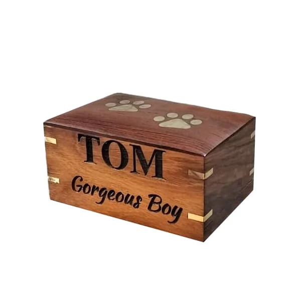 Paw Pods Pet Casket and Design Differnt Vivid Scenes