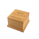 Pet Urns for Ashes Top of Urn Paw and Head