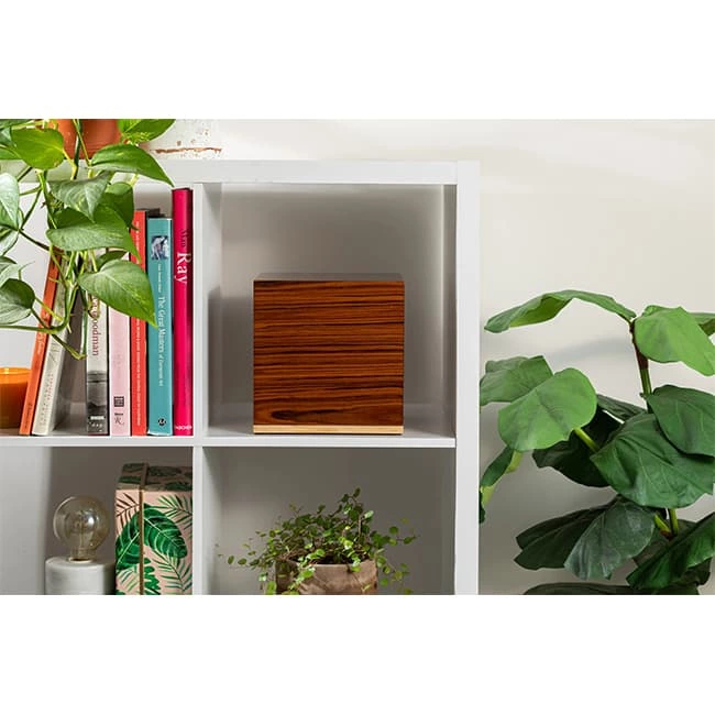 Keepske Cremation Human Urn for Ashes