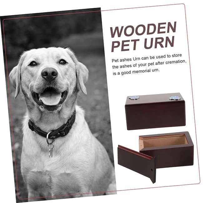 Pet Urns for Ashes with Silver Color Paw Metal Pads