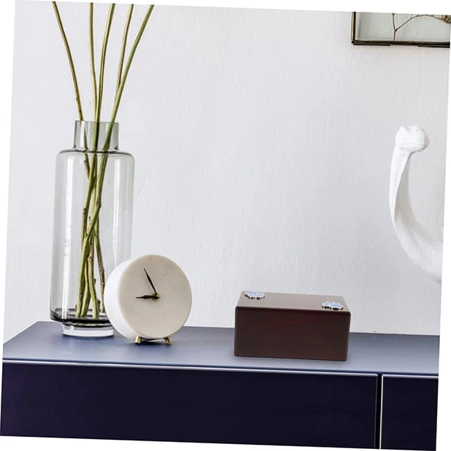 Pet Urns for Ashes with Silver Color Paw Metal Pads