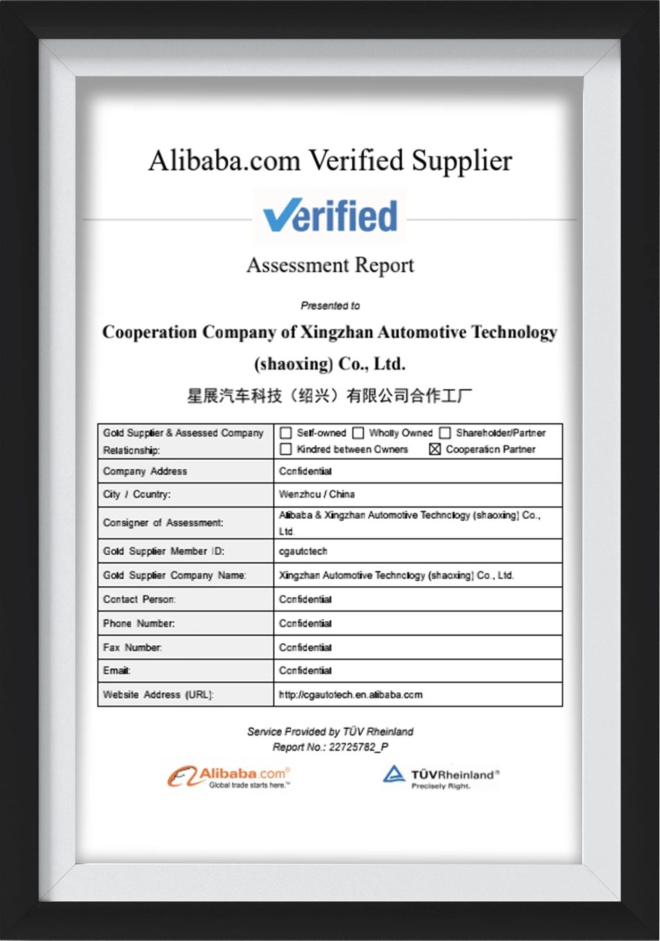 Alibaba Verified Supplier