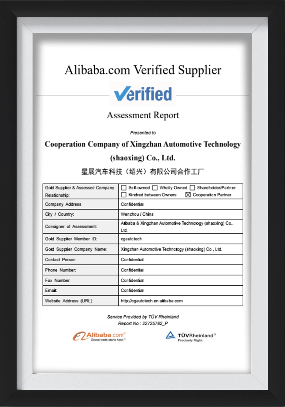 Alibaba Verified Supplier