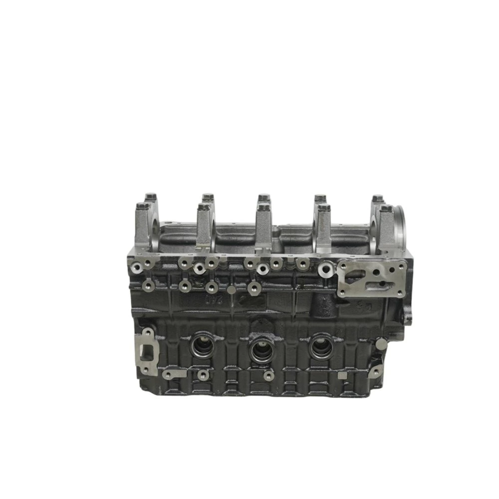 Isuzu 4JG1 Cylinder Block