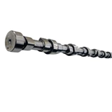 Weichai Euro III Camshaft